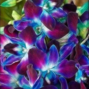 Meet your Posher, Tiia